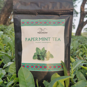 Paper Mint Tea